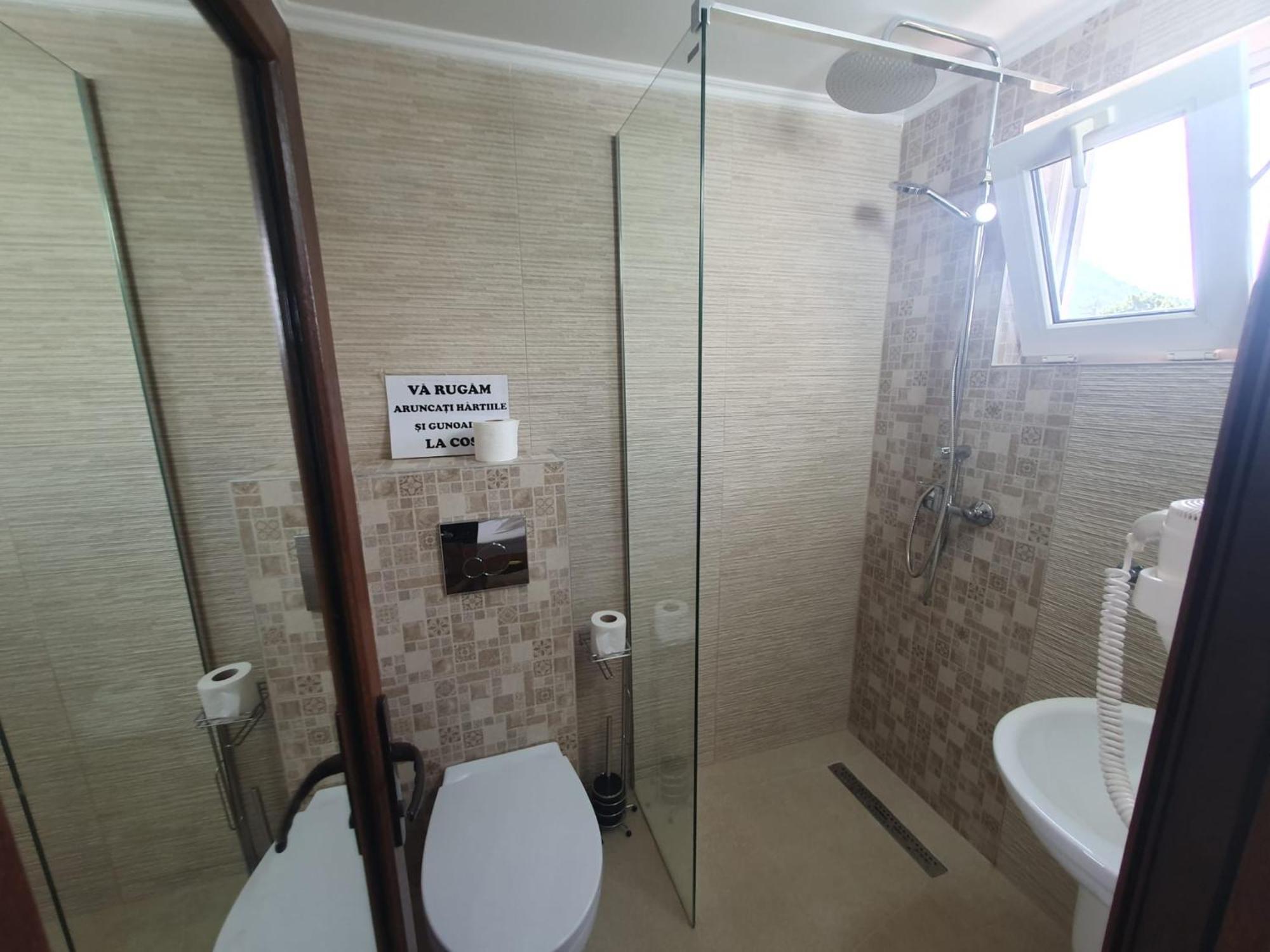 Casa Flavius בית הארחה בראן